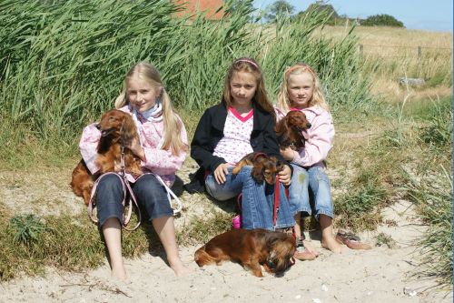 Fehmarn 2008