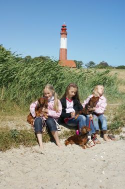 Fehmarn 2008